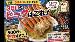 【黒部渓谷トロッコ電車 子連れ】正直どう？子連れでアリ！？｜途中の親不知ピアパーク最高｜体験リアル・注意点まとめ（長野拠点旅行3日目）