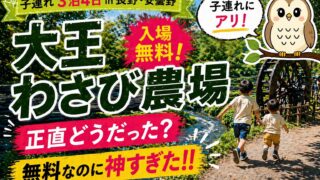 【大王わさび農園 子連れ】正直どう？無料なのに満足度高い｜見どころ・注意点まとめ（長野拠点旅行２日目「後半」）