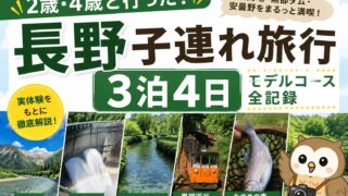 【長野子連れ旅行モデルコース】２歳・４歳と３泊４日で上高地・黒部ダム・安曇野を回った全記録